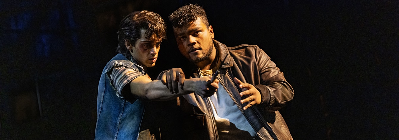 局外人(The Outsiders) | Broadway Collection