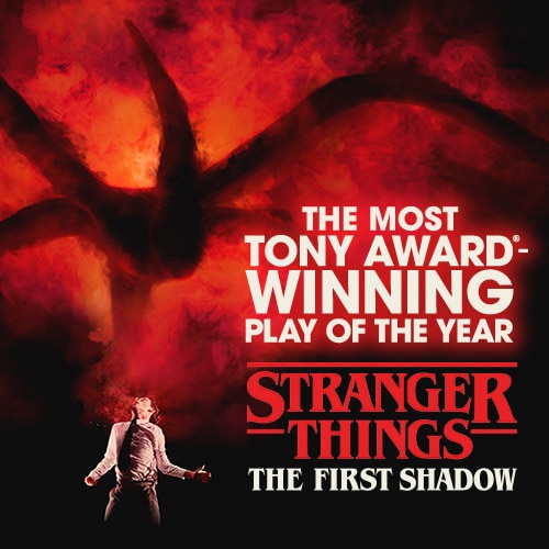 Stranger Things The First Shadow